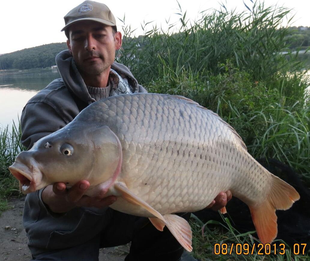 The best pictures of 2013 - 11,4